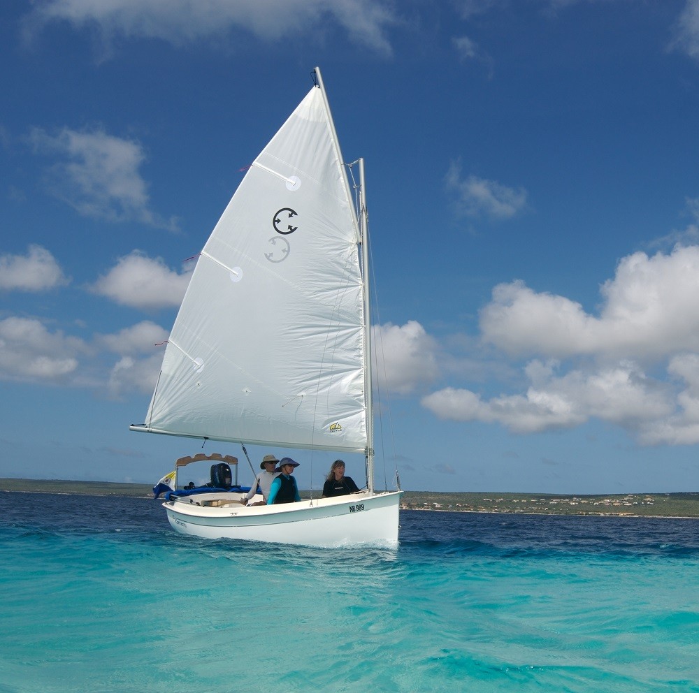 Com-Pac Picnic Cat sailboat by Com-Pac Yachts Masthead 