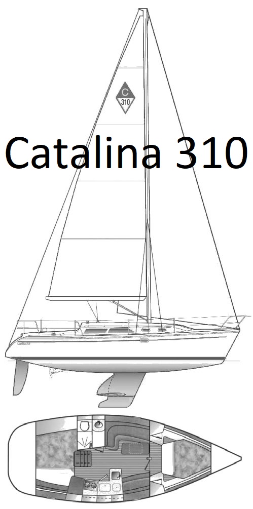 Catalina 310 sail