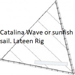 Catalina Wave sunfish