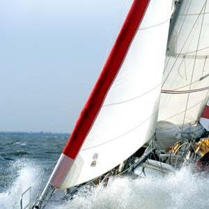 Gale Sail Jib